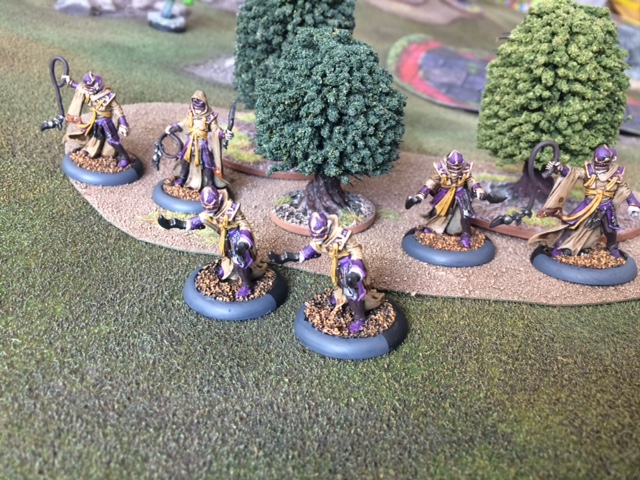 1 Paingiver Beast Handlers