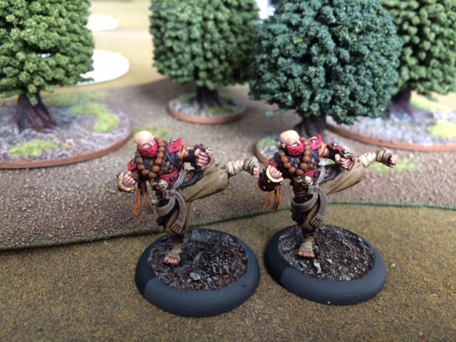 3 Protectorate of Menoth Allegiant of the Order of the Fist