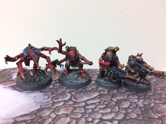 Genestealer Cult Behemoth Color Scheme Warhammer 40k Hybrids Purestrain Acolyte