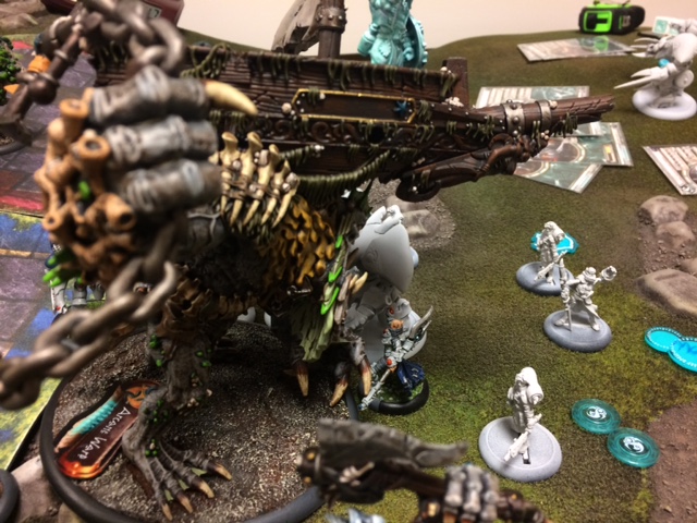 17 Borka1 vs Helynna